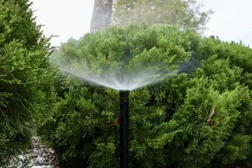 Common Irrigation Mistakes That Damage Lawns in Texas Summers