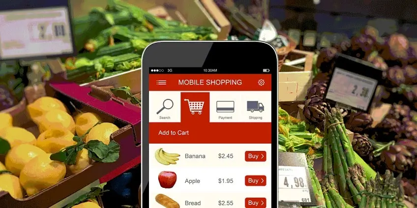Grocery Delivery App Development - A Complete Guide 