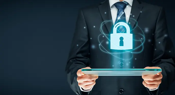 Cyber Security Services for Government Agencies Strategies for Success