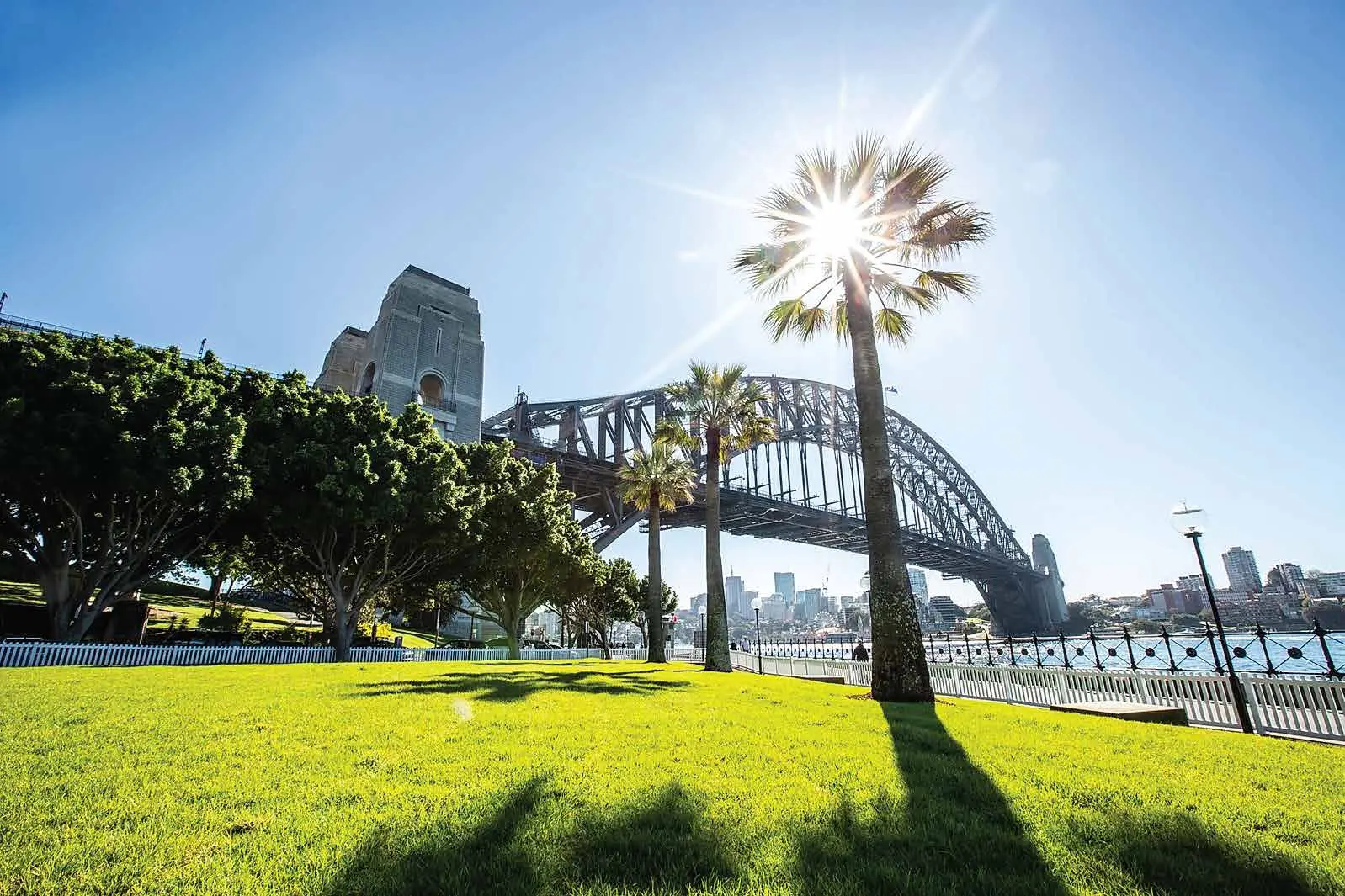 How to Pick the Right Turf Supplier in Sydney for Your Project